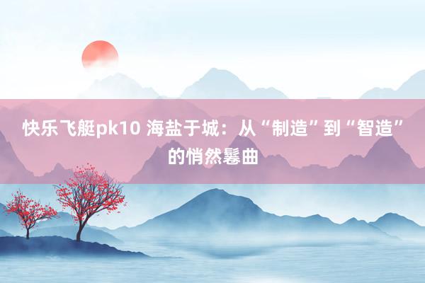 快乐飞艇pk10 海盐于城：从“制造”到“智造”的悄然鬈曲