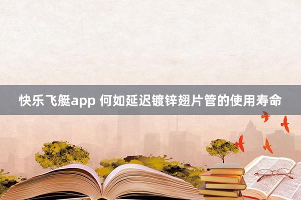 快乐飞艇app 何如延迟镀锌翅片管的使用寿命